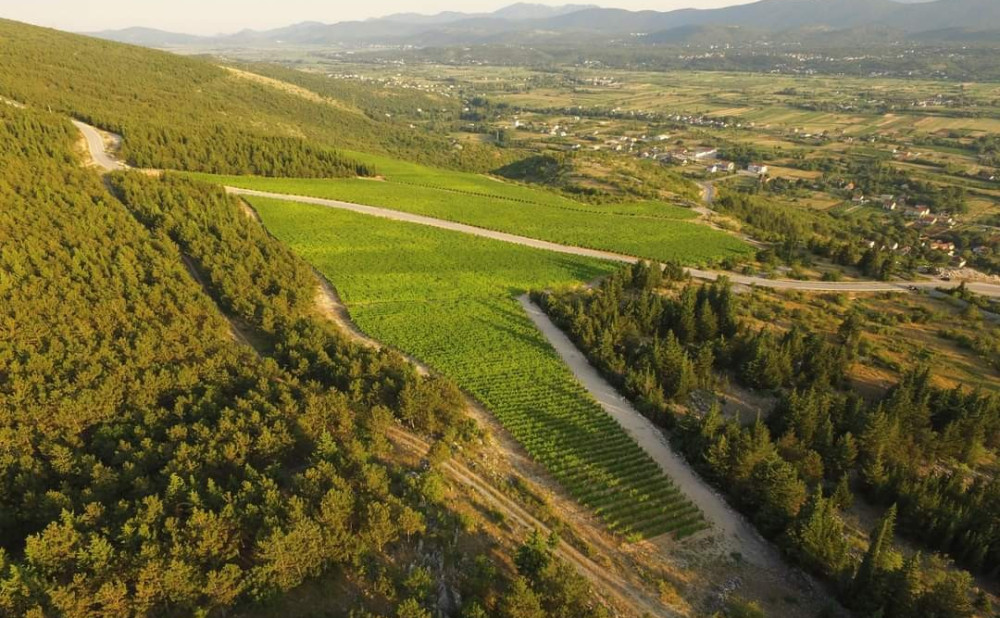 100 najboljih vina Hrvatske