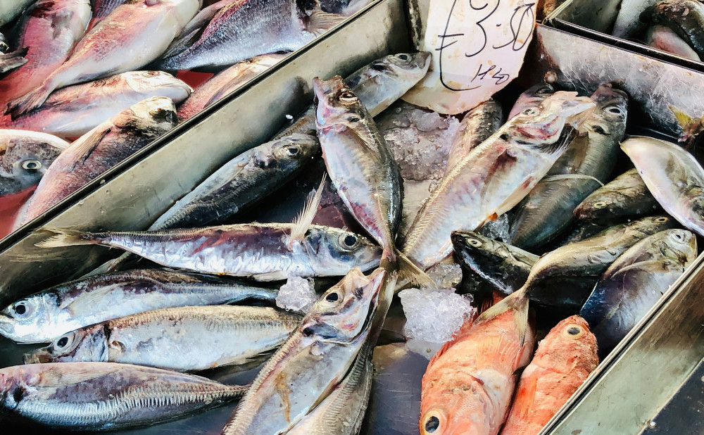 ribe christian-seebeck-eU2Mu6UEoBc-unsplash