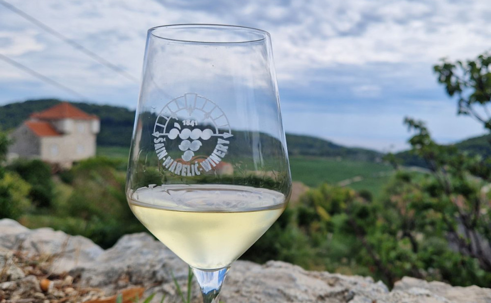 10. Pogled