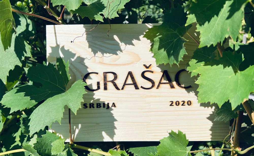 Vinčić vinograd-grasac