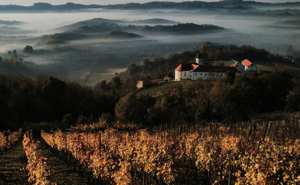 Najbolja fotka Vinski Kušlec 1. nagrada, Krešimir Komorčec, Zlatne gorice