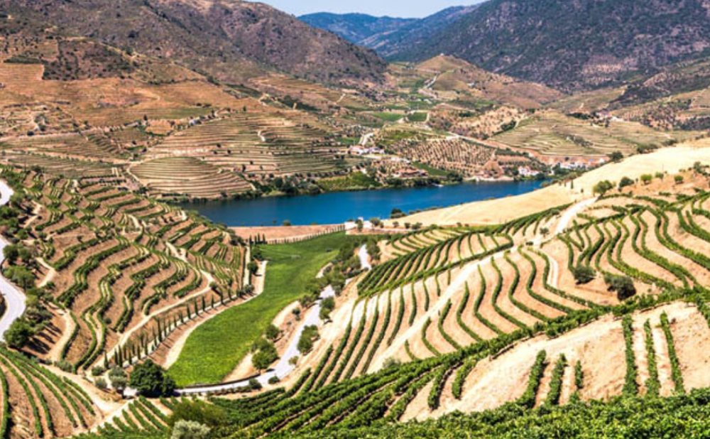 douro-3-2-Snimka-zaslona-2024-06-10-063237