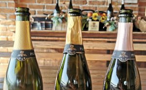 blog-jagunic-300x427