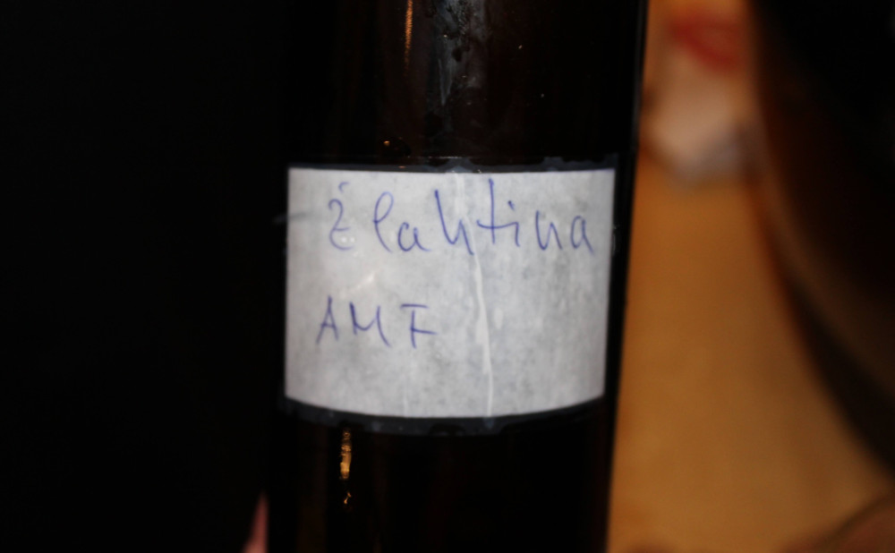 En Primeur Malvazija 2026. Žlahtina amfora