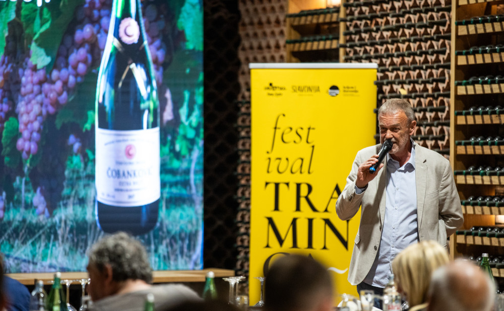 Festival traminca Ivo Kozarčanin1