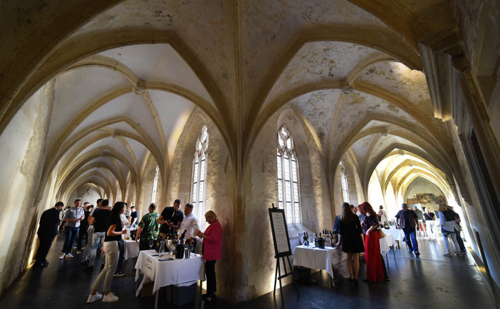 Salon-Sauvignon-Ptuj-2024-1536x1025