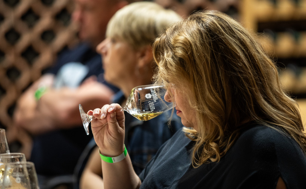 Festival traminca dama 