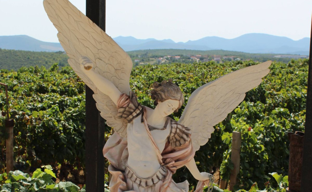 11. Sušac 2ukras u vinogradu