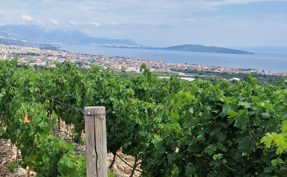 Vinarije