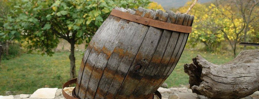 Nedjeljni vinski haiku: Uranilo je Martinje!