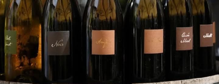 Vina Kabaj 21. studenog od 17 sati na Afterworku u Vintesi u Kranjčevićevoj 67