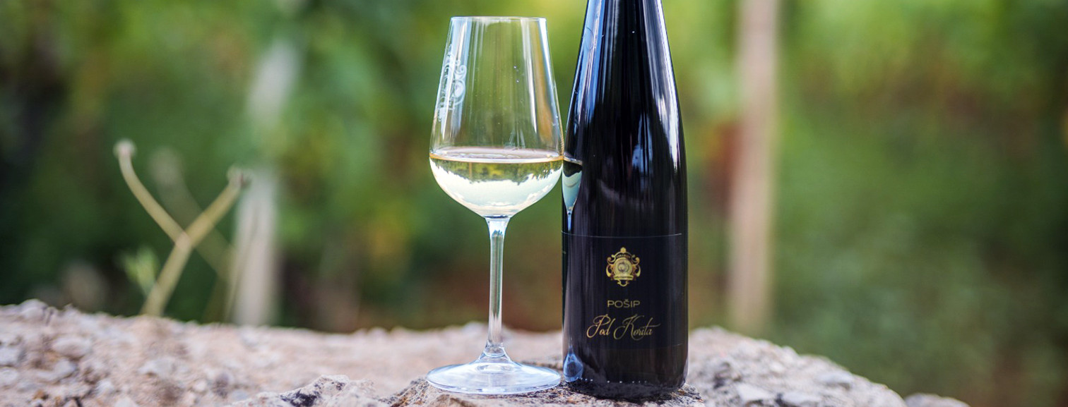 Pošip Pod Korita 2023. veliko je vino male vinarije Pecotić Baran za 10 eura