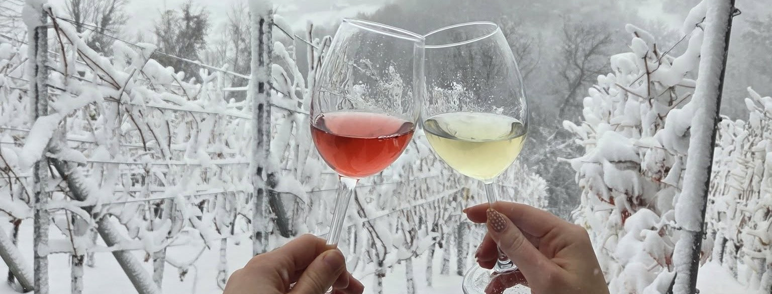 Izbor najljepše hrvatske vinske fotografije! Dajte svoj glas na Facebook stranici Društva Križevački štatuti.