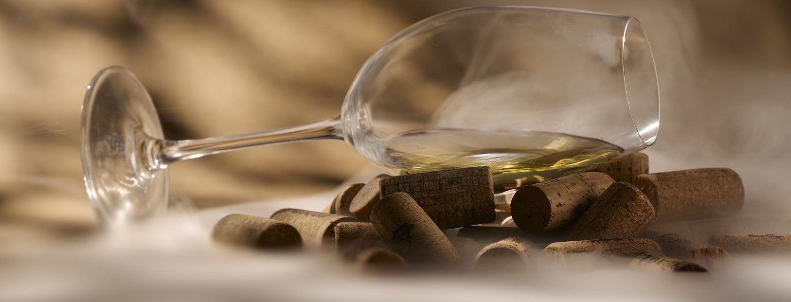 Pohvalili su se vinima berbe 2025. na Skupštini Vinistre! Predstavit će ih 2. veljače 2026. u Zagrebu  u Esplanadi