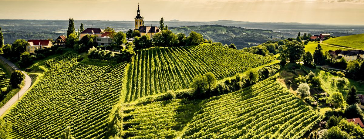 Austrian Wines Meets Croatia! Štajerska nam je najbliža austrijska regija. Osam vinarija stiže u Zagreb